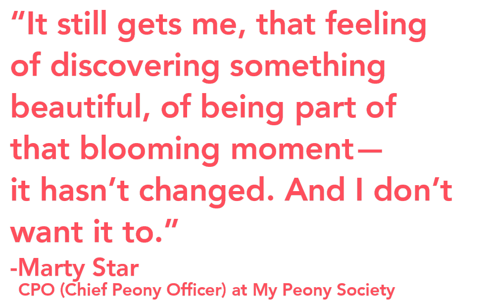 My Peony Society Marty Star Quote