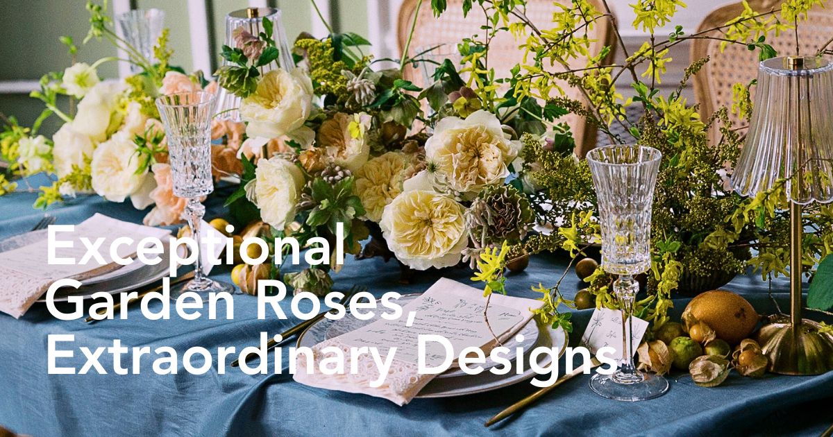 Heather Siu’s Artisanal Touch in Luxury Wedding and Event Designs With David Austin’s New Roses; Rose Enid and Rose Phoebe