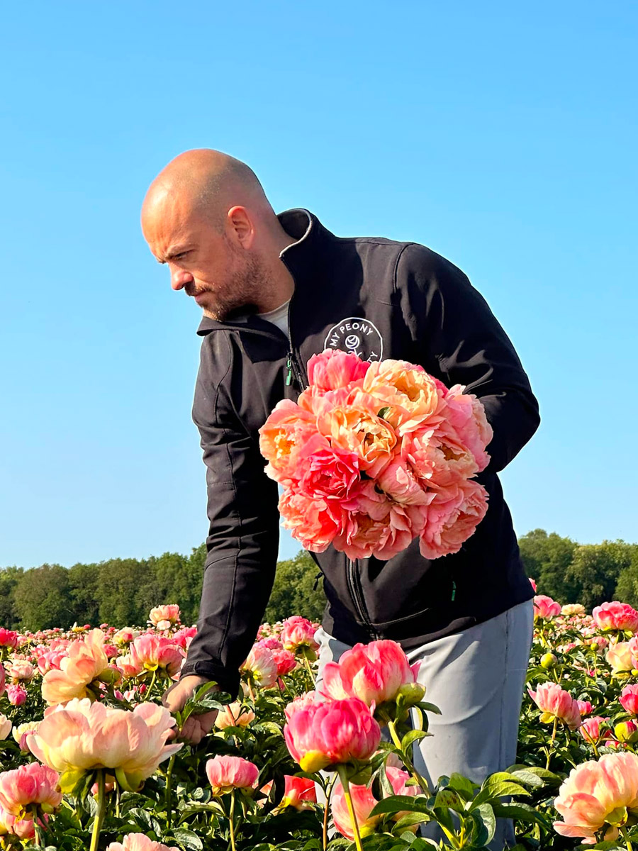 My Peony Society Marty Star Dreamfields