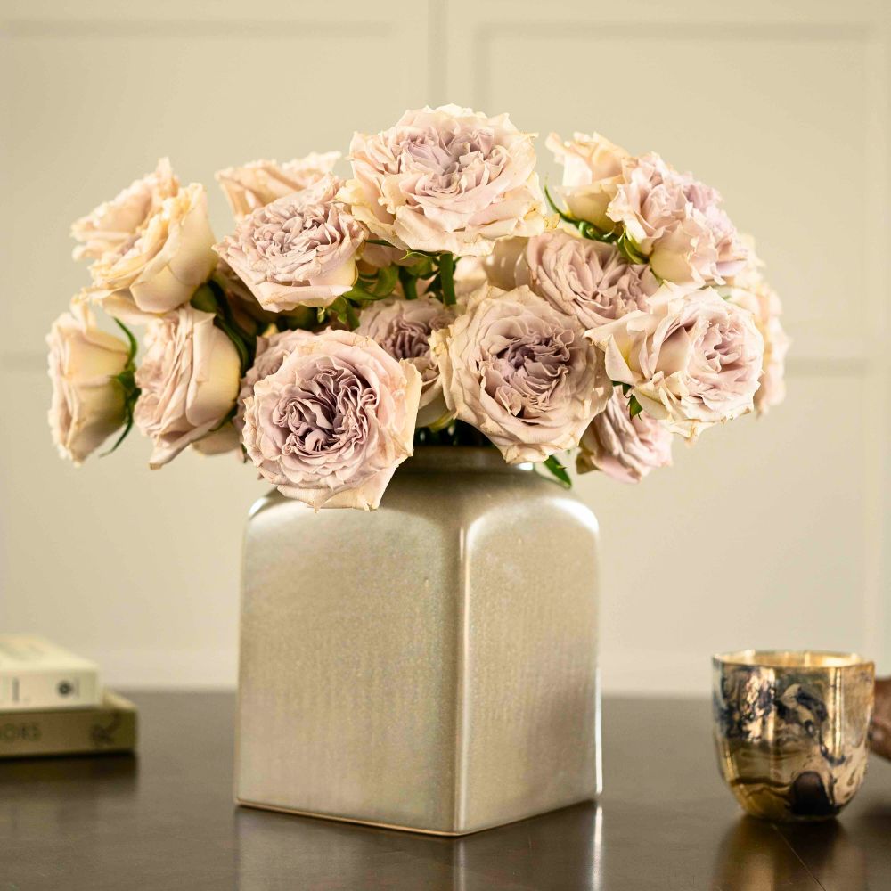 Rose Westminster Abbey grown at Francis Roses 10 Questions to Tyler Francis