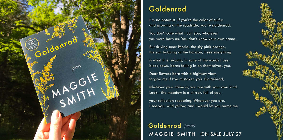 Goldenrod poems by Maggie Smith