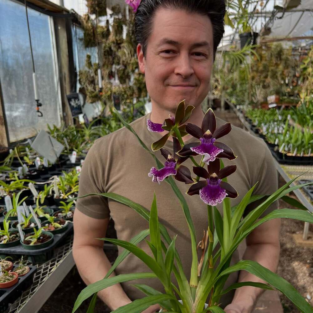 men holding orchids at flower farm men holding orchids at flower farm