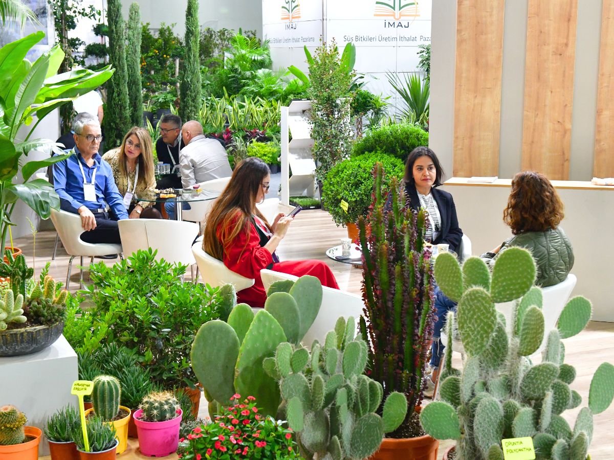 Green spaces at the Istanbul fair Green spaces at the Istanbul fair