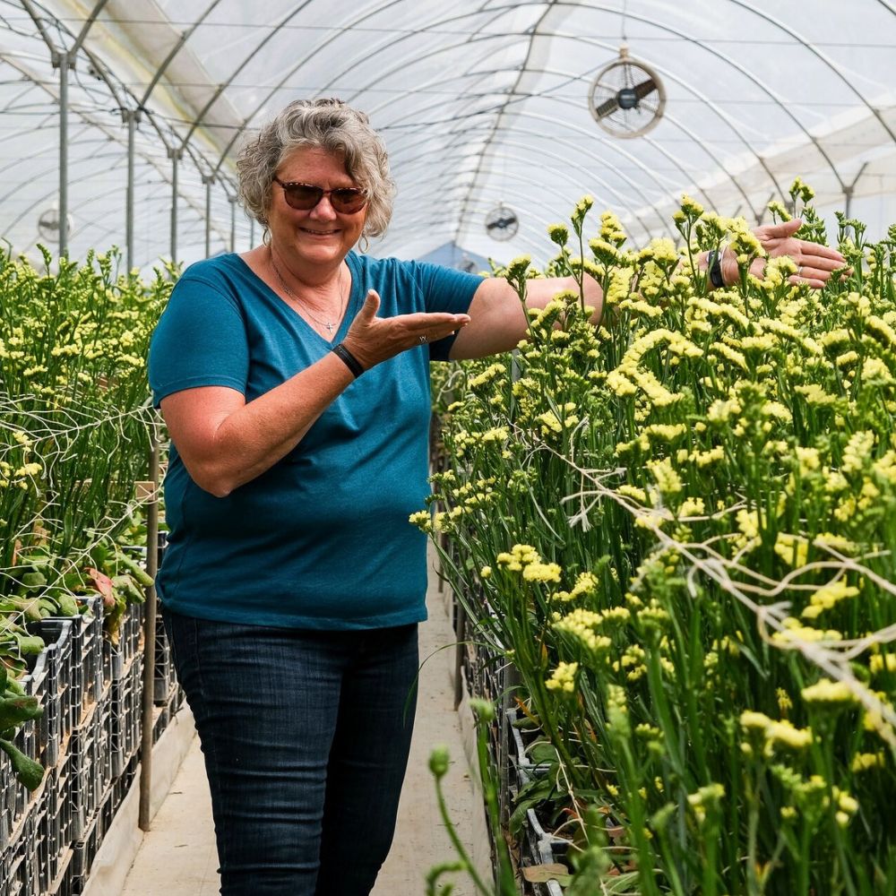 Lady in a flower greenhouse Biofertilizers Are Nature’s Own Solution to Sustainable Flower and Plant Nutrition