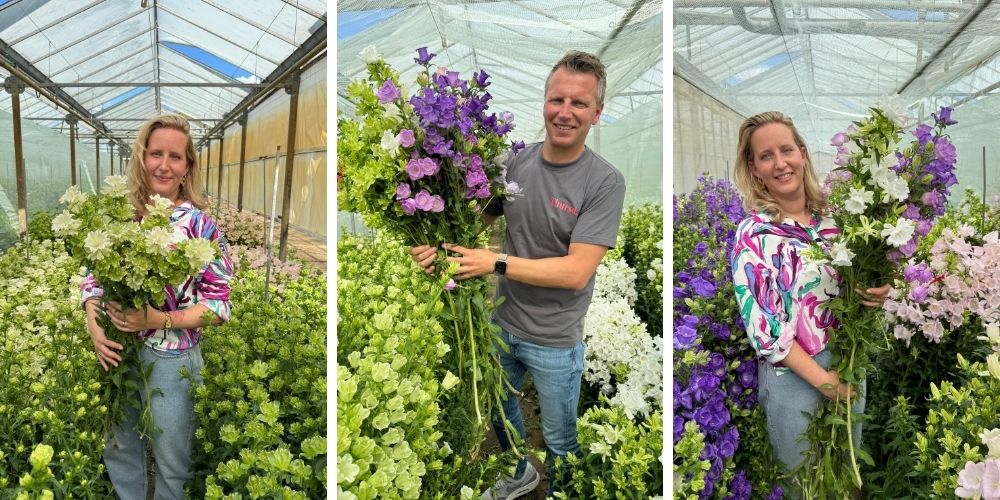 Peter van Delft and Fiona Koning Noordam with Campanula flowers Peter van Delft and Fiona Koning Noordam with Campanula flowers