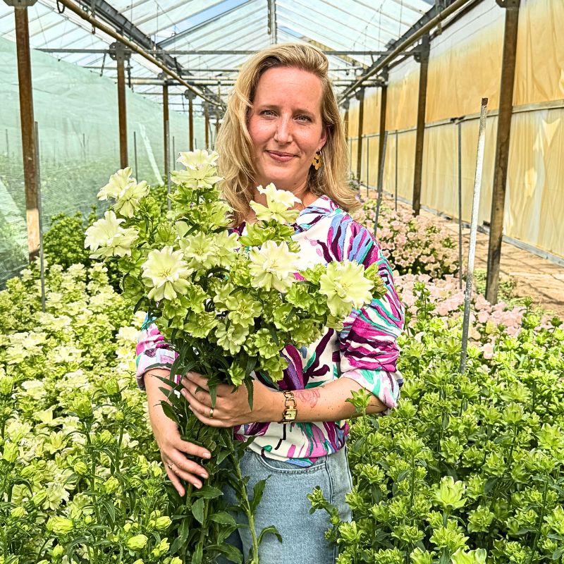 Fiona Koning Noordam Fiona Koning Noordam