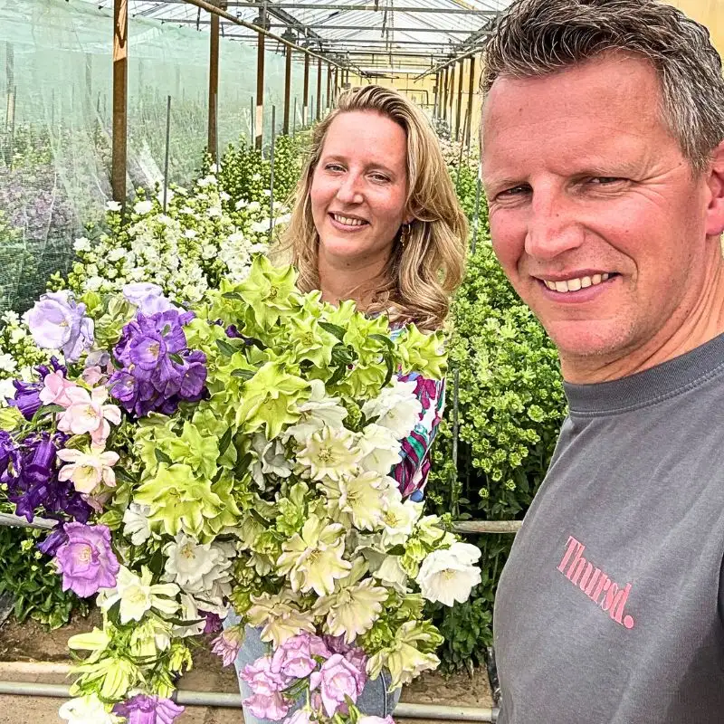 Campanula breeding stadsland