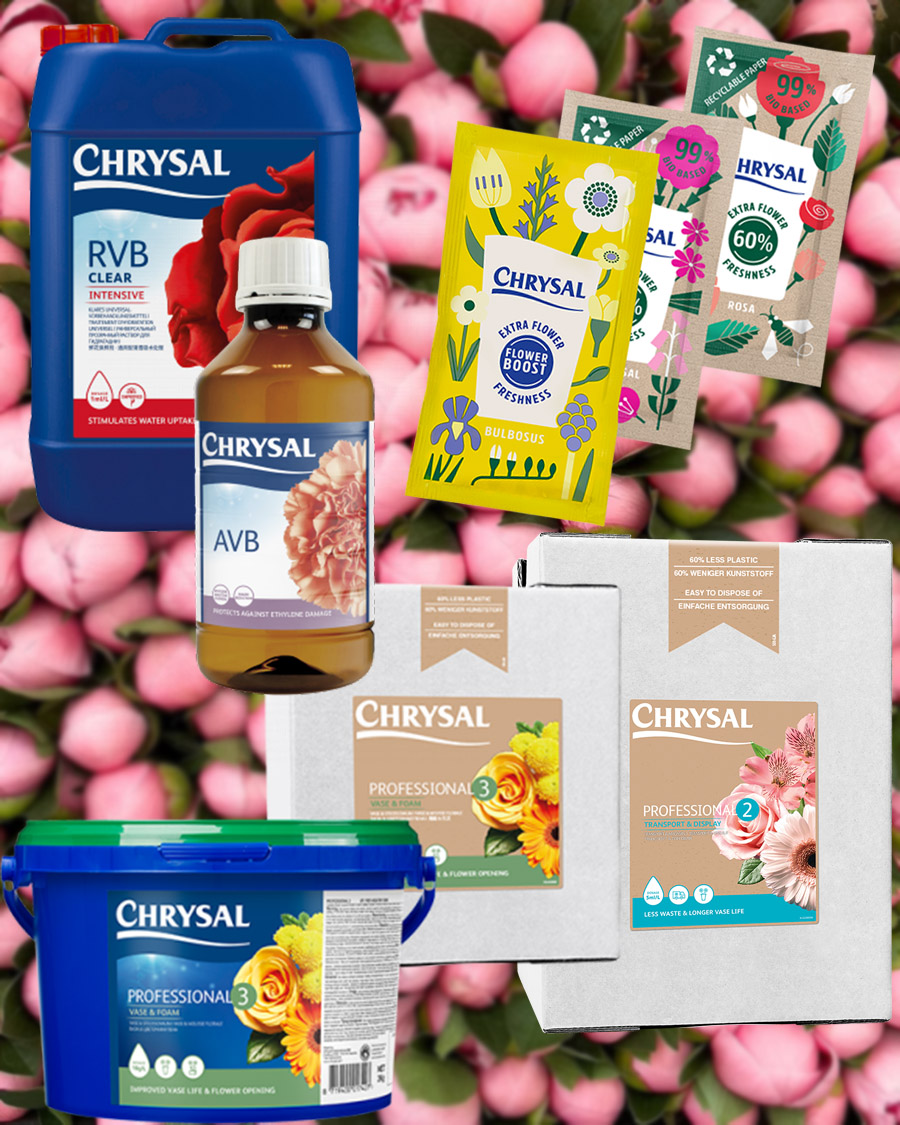 Chrysal all peony solutions