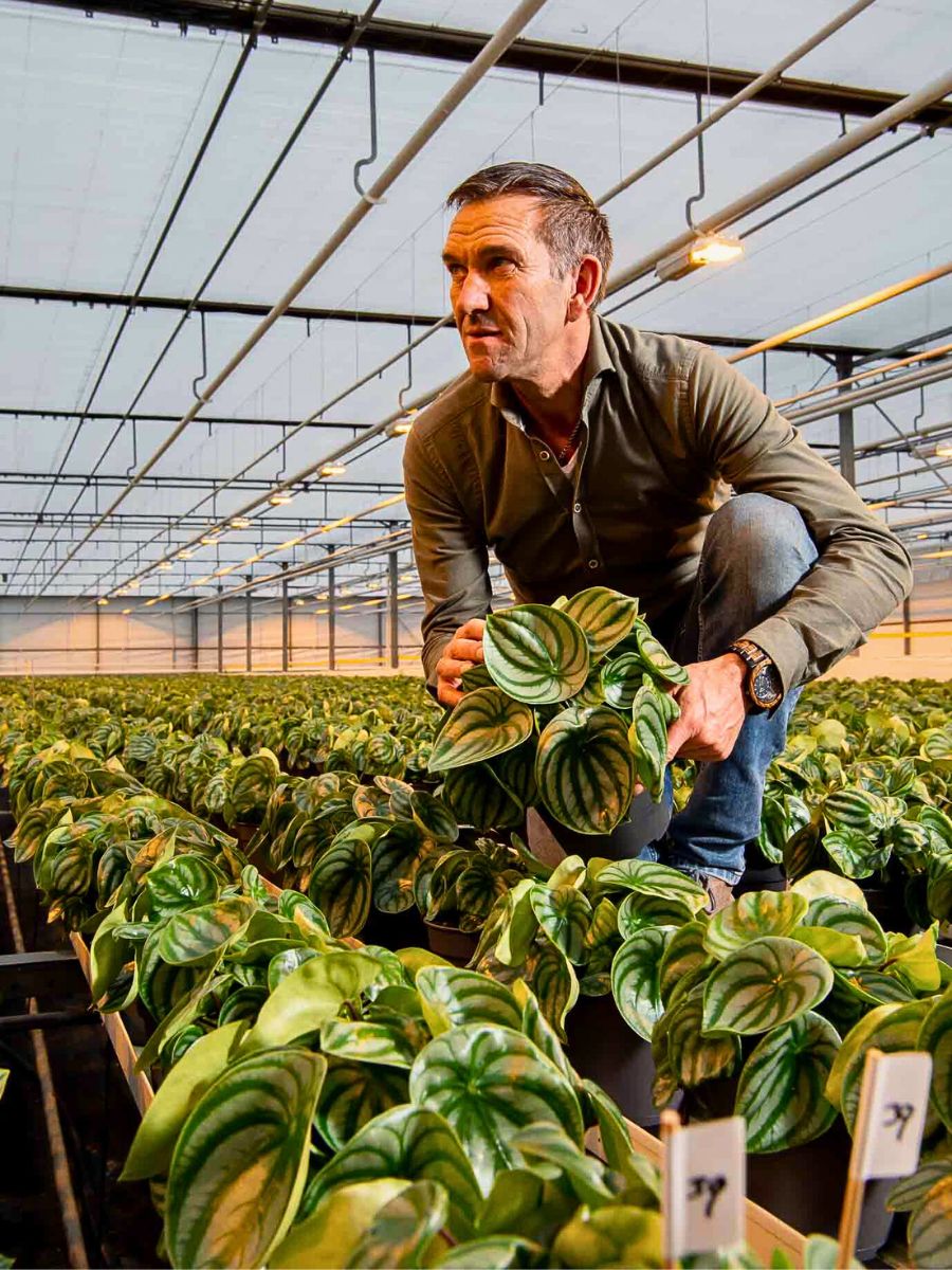 Plants grower Biofertilizers Are Nature’s Own Solution to Sustainable Flower and Plant Nutrition