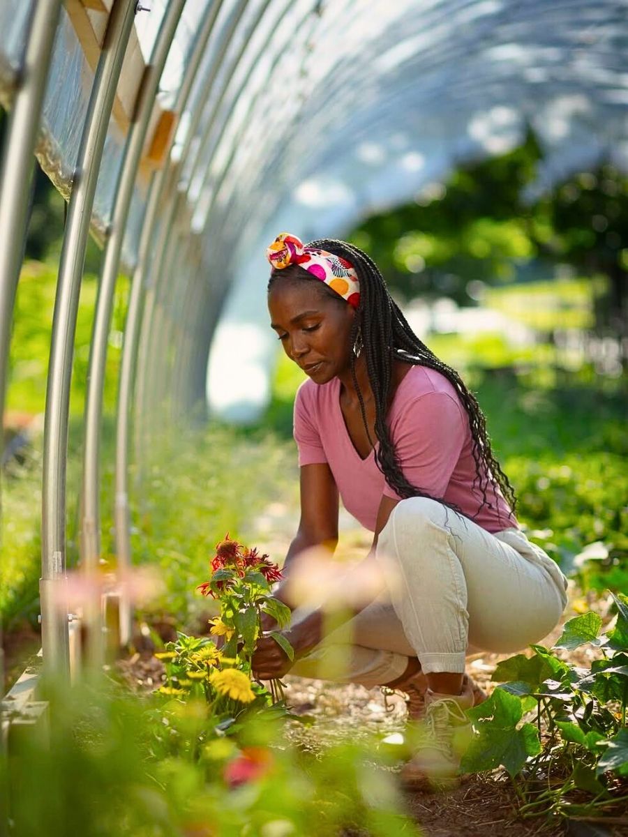 Flower cultivation Biofertilizers Are Nature’s Own Solution to Sustainable Flower and Plant Nutrition