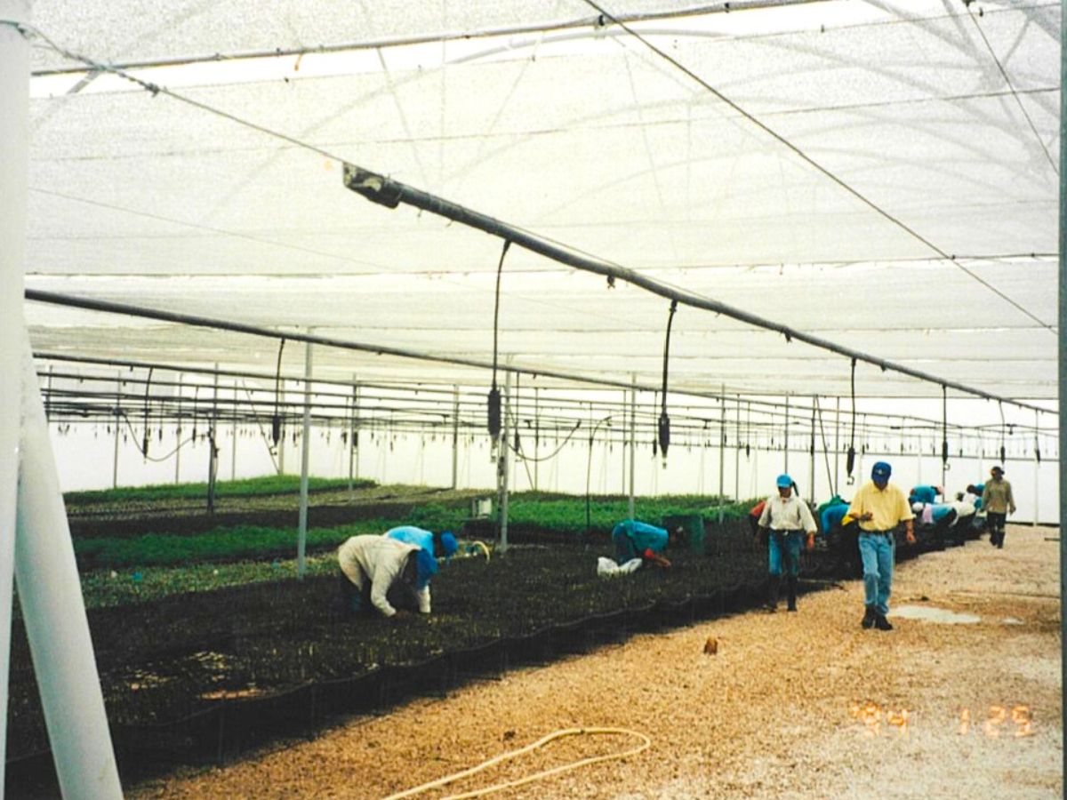 The beginning of Plantec Ecuador The beginning of Plantec Ecuador