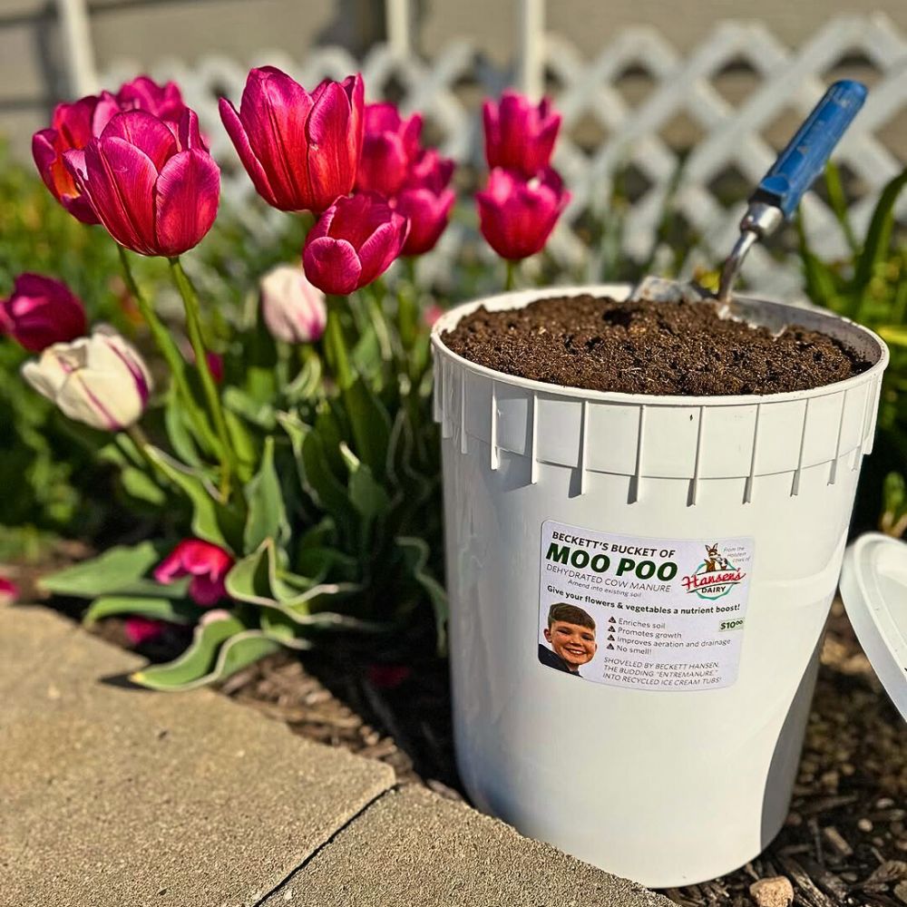 Manure Biofertilizers Are Nature’s Own Solution to Sustainable Flower and Plant Nutrition