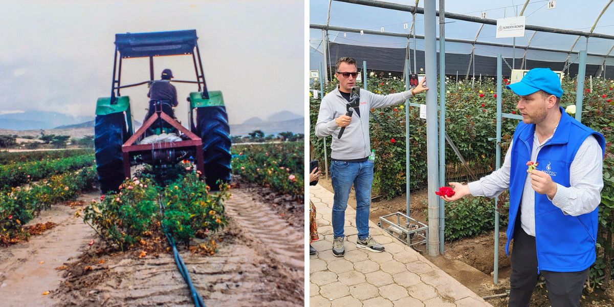 Plantec Ecuador now and then Plantec Ecuador now and then