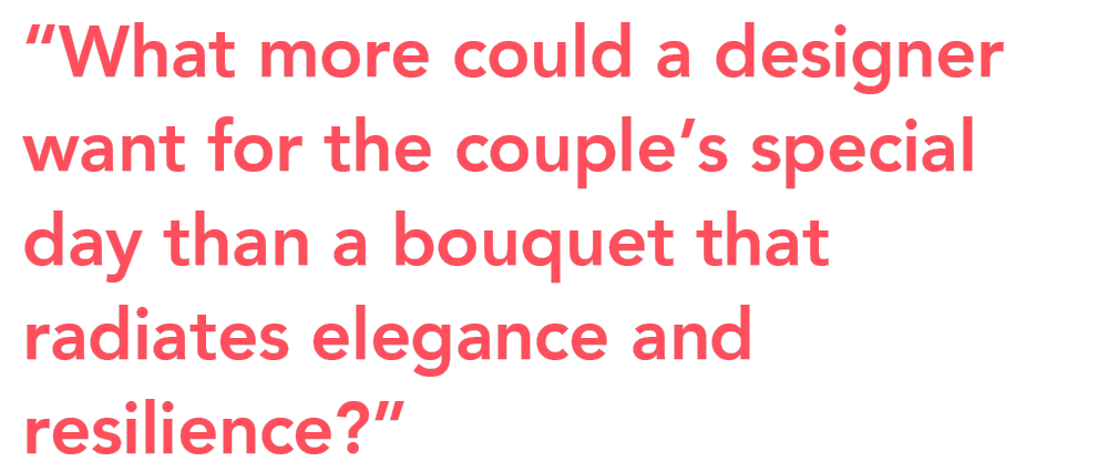 Jan Spek Rozen Mont Royal Jacqui Owen quote