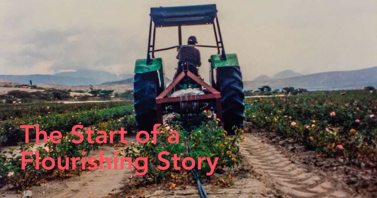 The start of a flourishing journey at Plantec