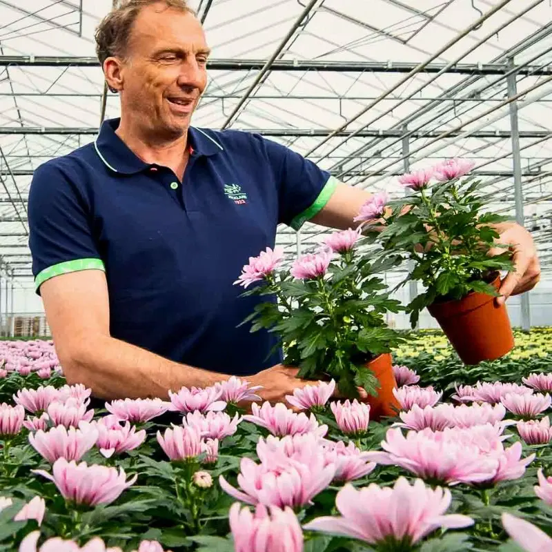 Biofertilizers Are Nature’s Own Solution to Sustainable Flower and Plant Nutrition