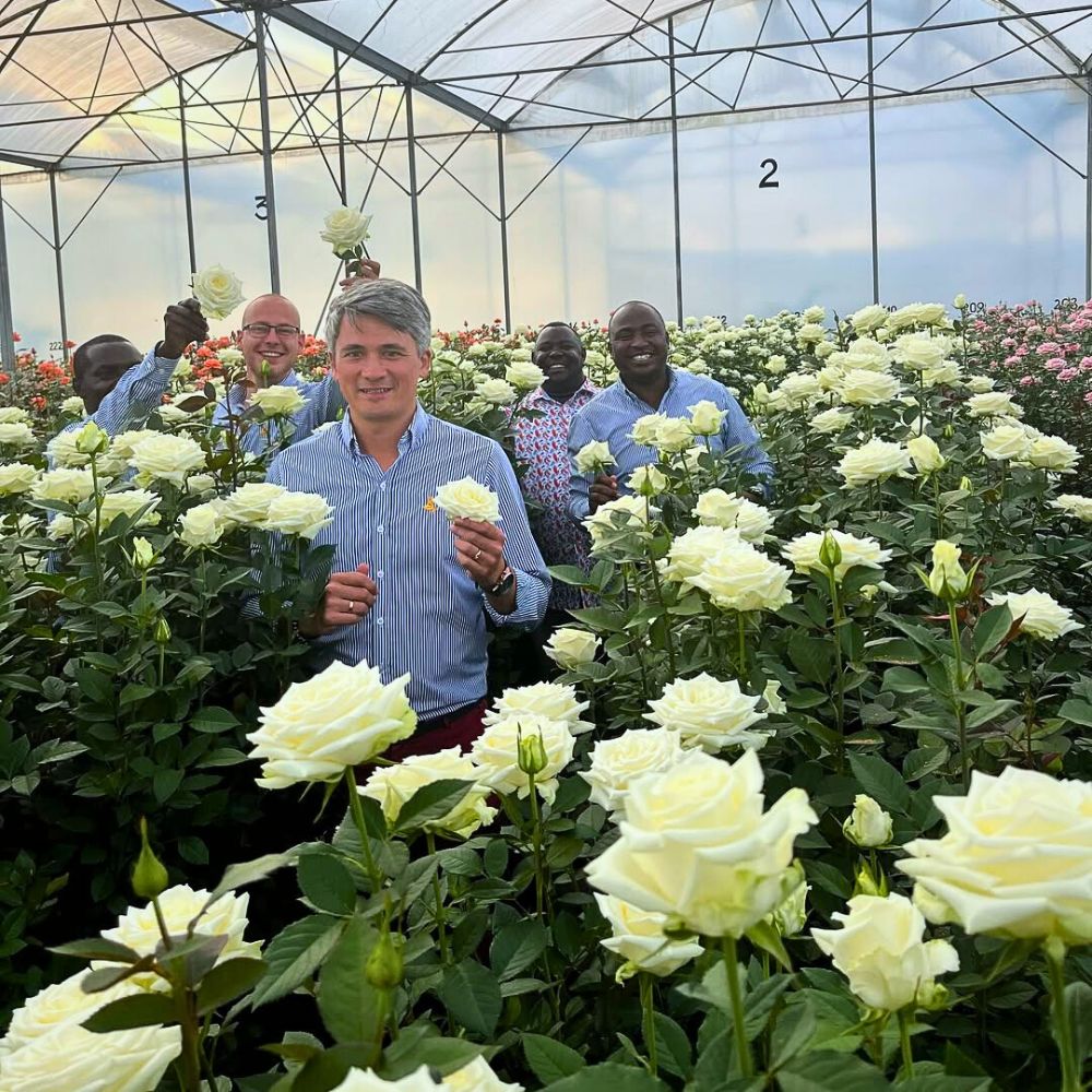 United Selections Explore Nature's Floral Wonders Through Kenya's Flower Safaris
