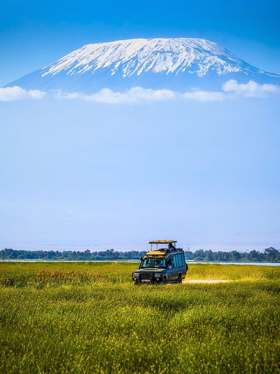 Mt Kilimanjaro Explore Nature's Floral Wonders Through Kenya's Flower Safaris