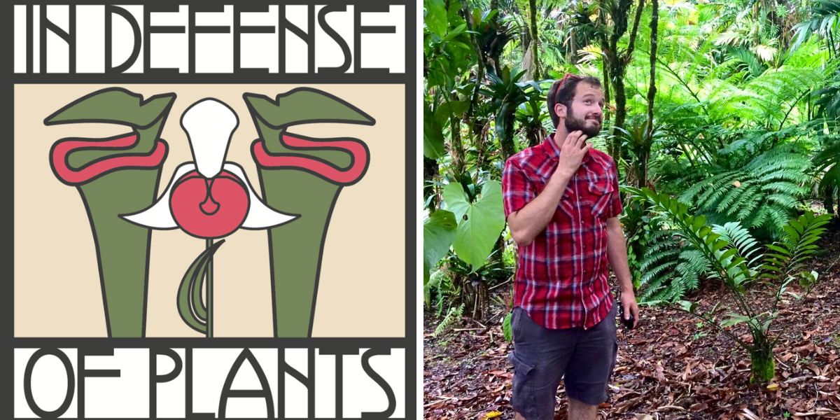 In Defense of Plants podcast In Defense of Plants podcast