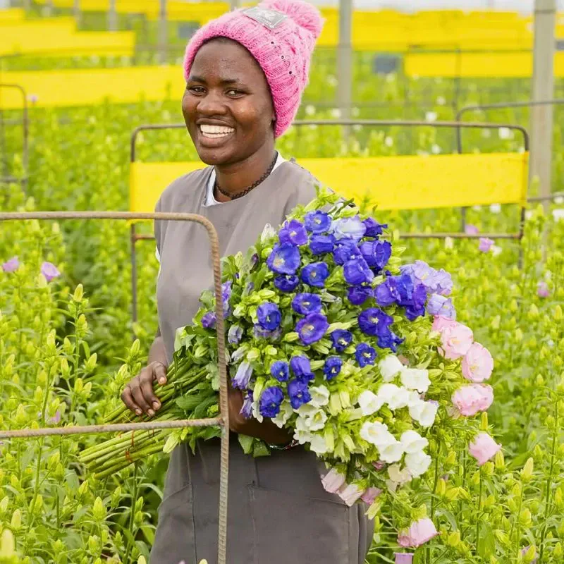 Experience Kenya’s Floral and Natural Marvels Through Floral Safaris
