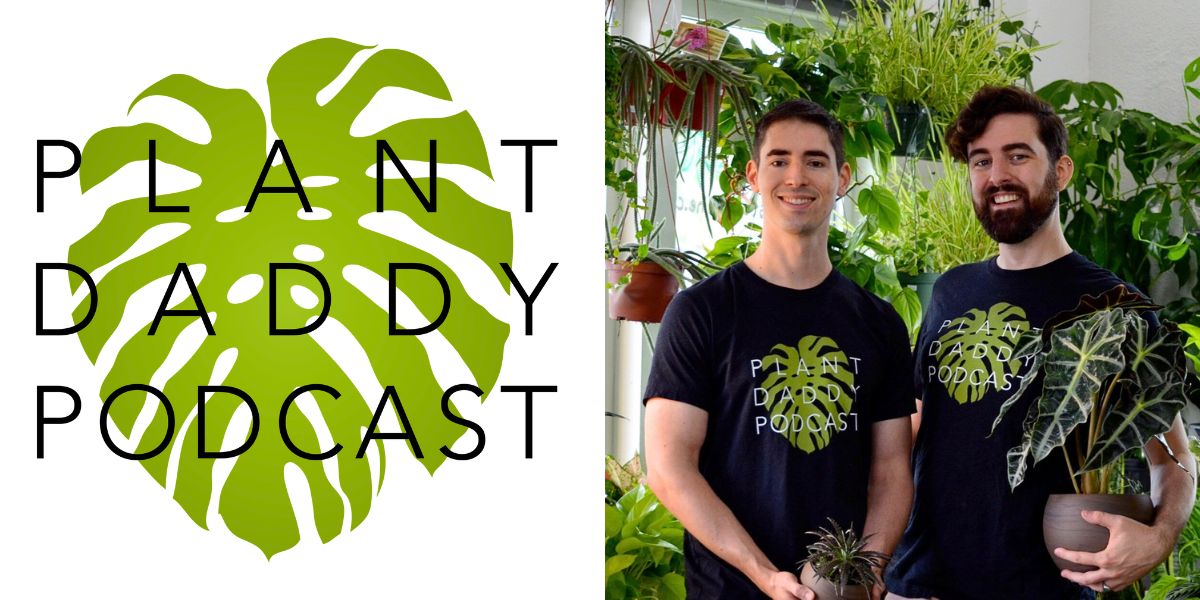 Plant Daddy Podcast Plant Daddy Podcast