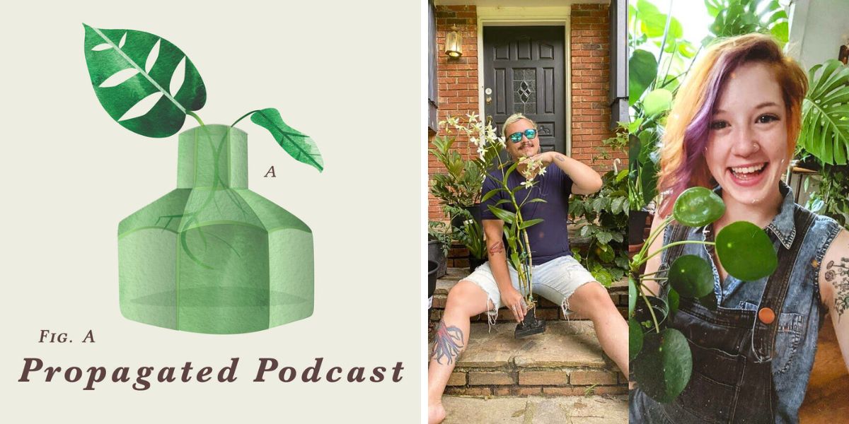 Daniel and Frankie of a Propagated podcast Daniel and Frankie of a Propagated podcast