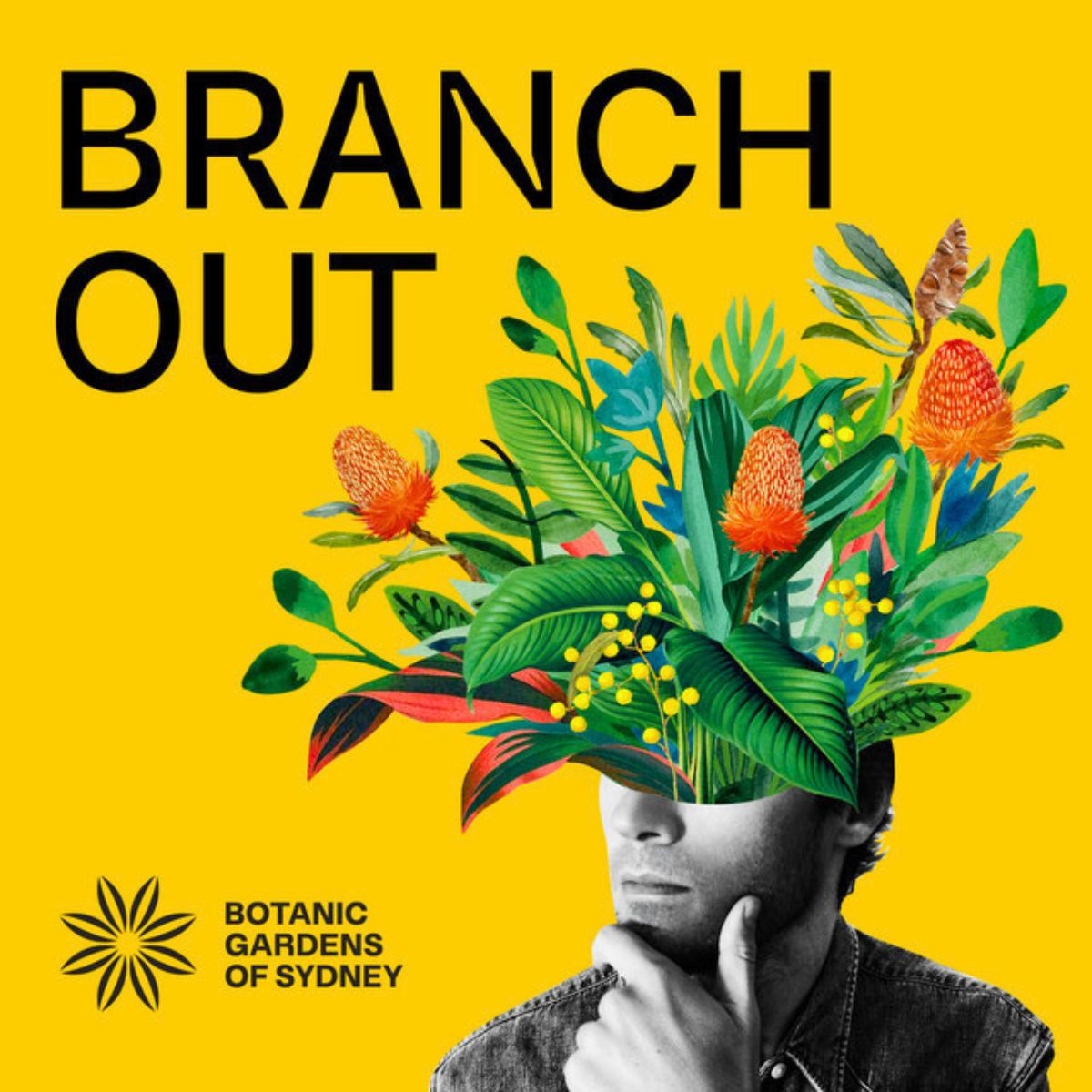 The Branch Out podcast by Vanessa Fuchs The Branch Out podcast by Vanessa Fuchs
