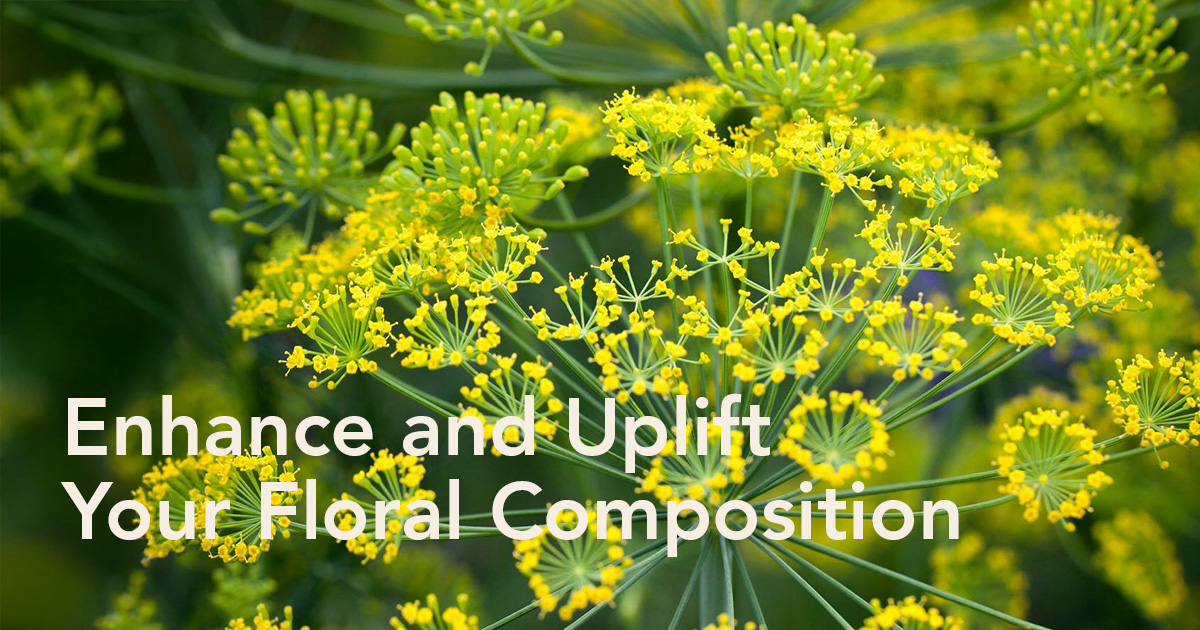 Maurits Keppel’s​ Scoops: Aromatic Anethum Adds Beauty to Artisanal Floral Arrangements