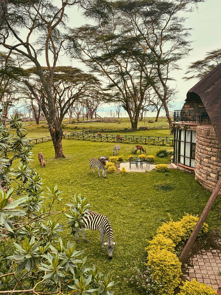 Wildlife Kenya’s Eco-Tourism Lets You Reconnect With Nature Through Conserving It
