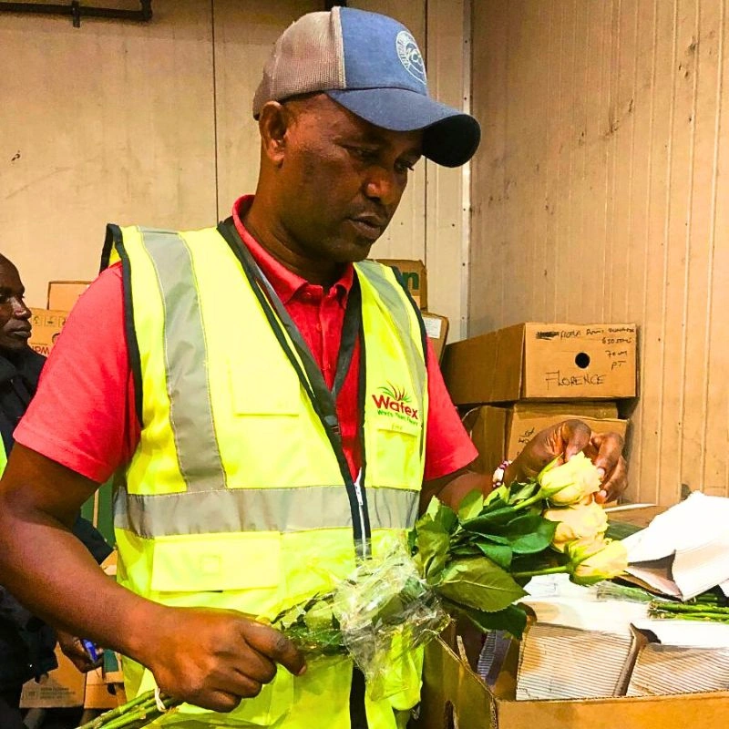 For Wafex Kenya, Quality Assurance Means Successful Flower Sourcing and Delivery Business