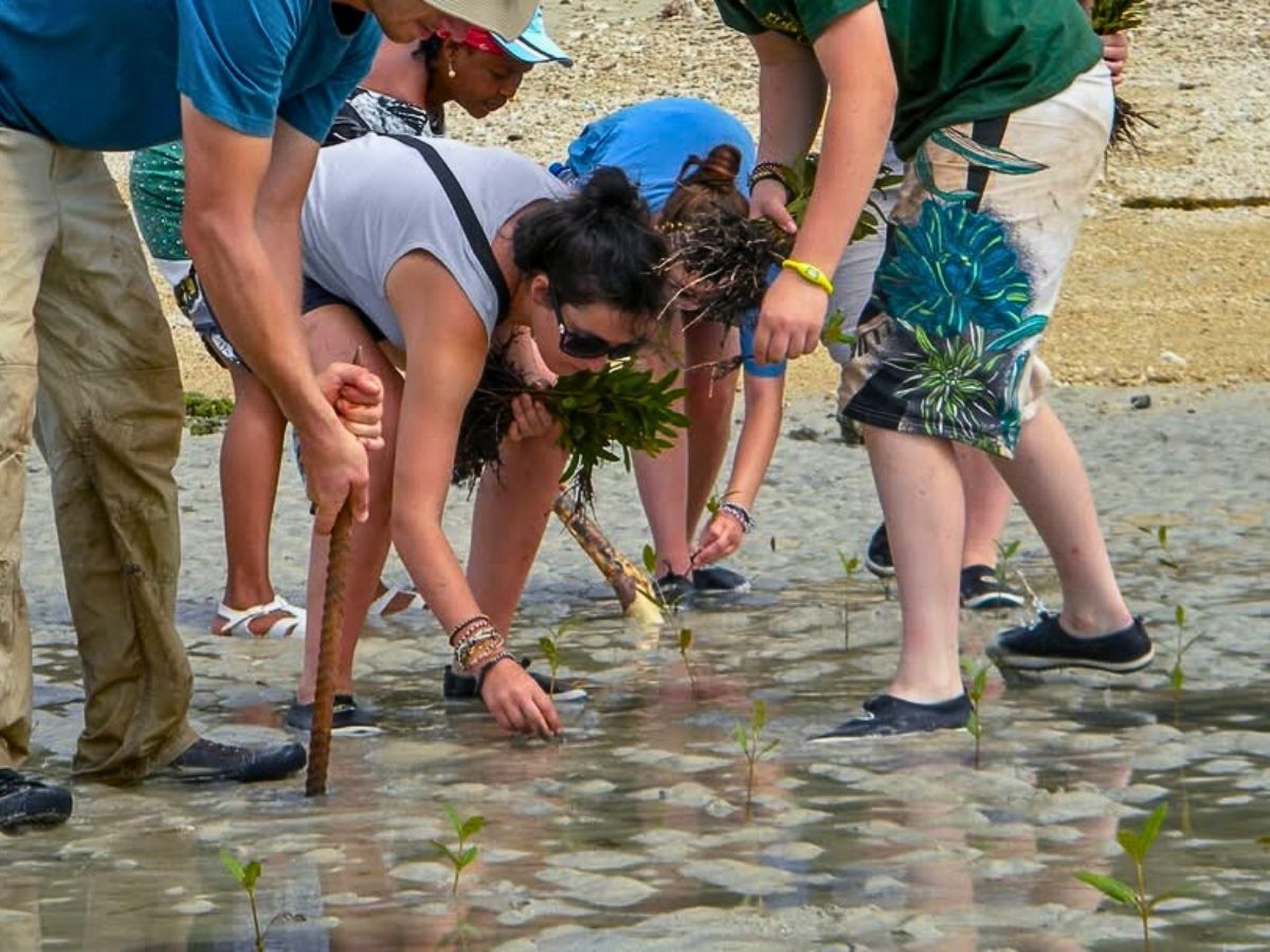 Planting mangroves Kenya’s Eco-Tourism Lets You Reconnect With Nature Through Conserving It