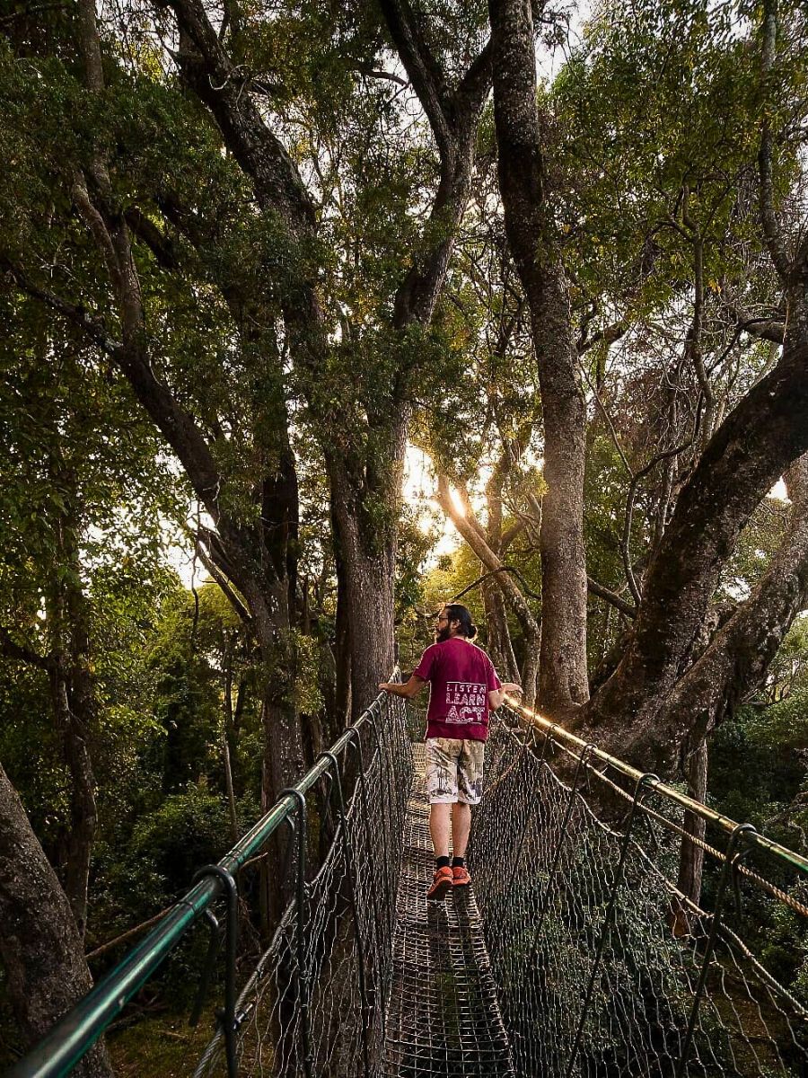 Nature Kenya’s Eco-Tourism Lets You Reconnect With Nature Through Conserving It