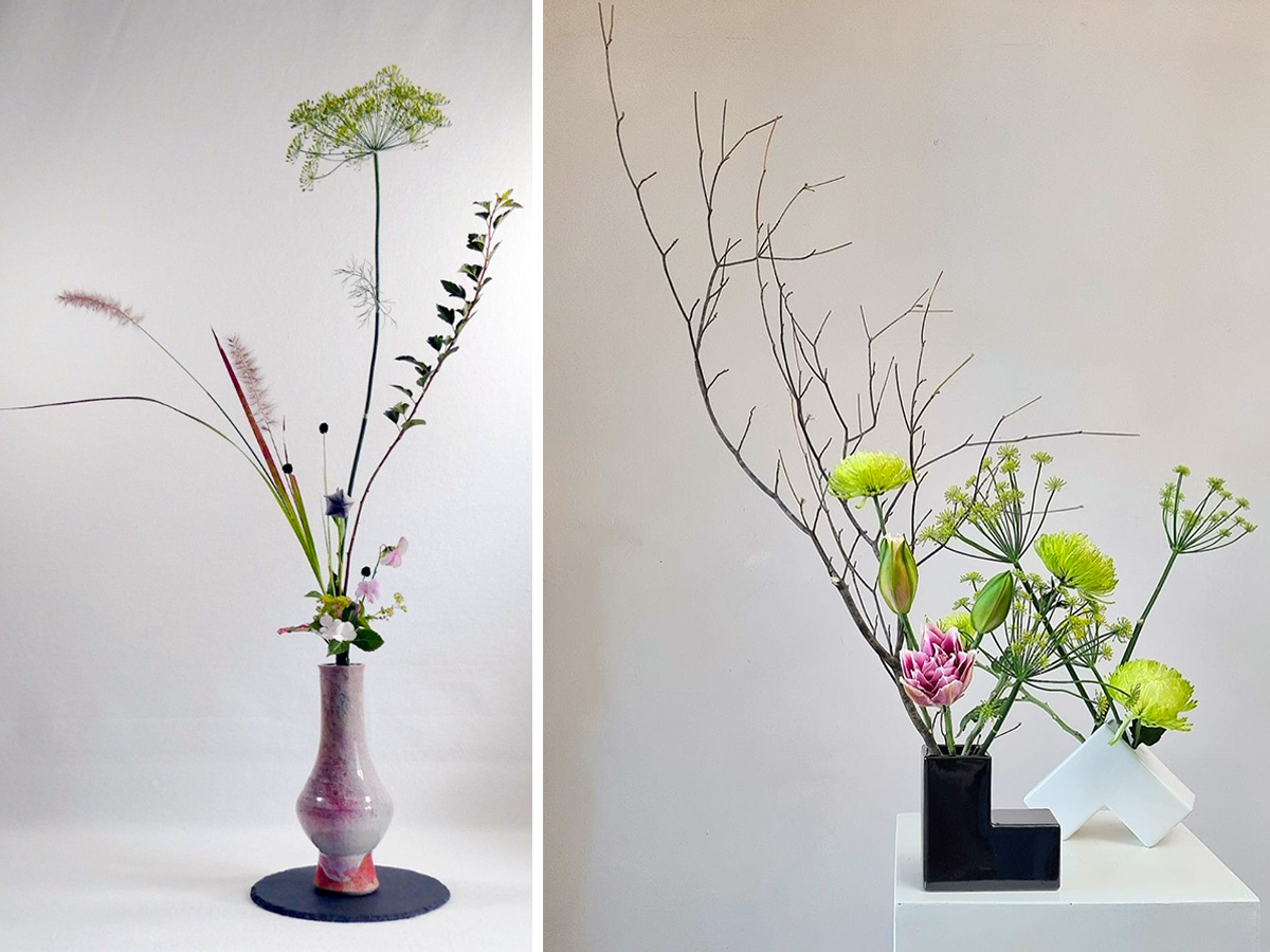 Anethum ikebana designs Anethum ikebana designs