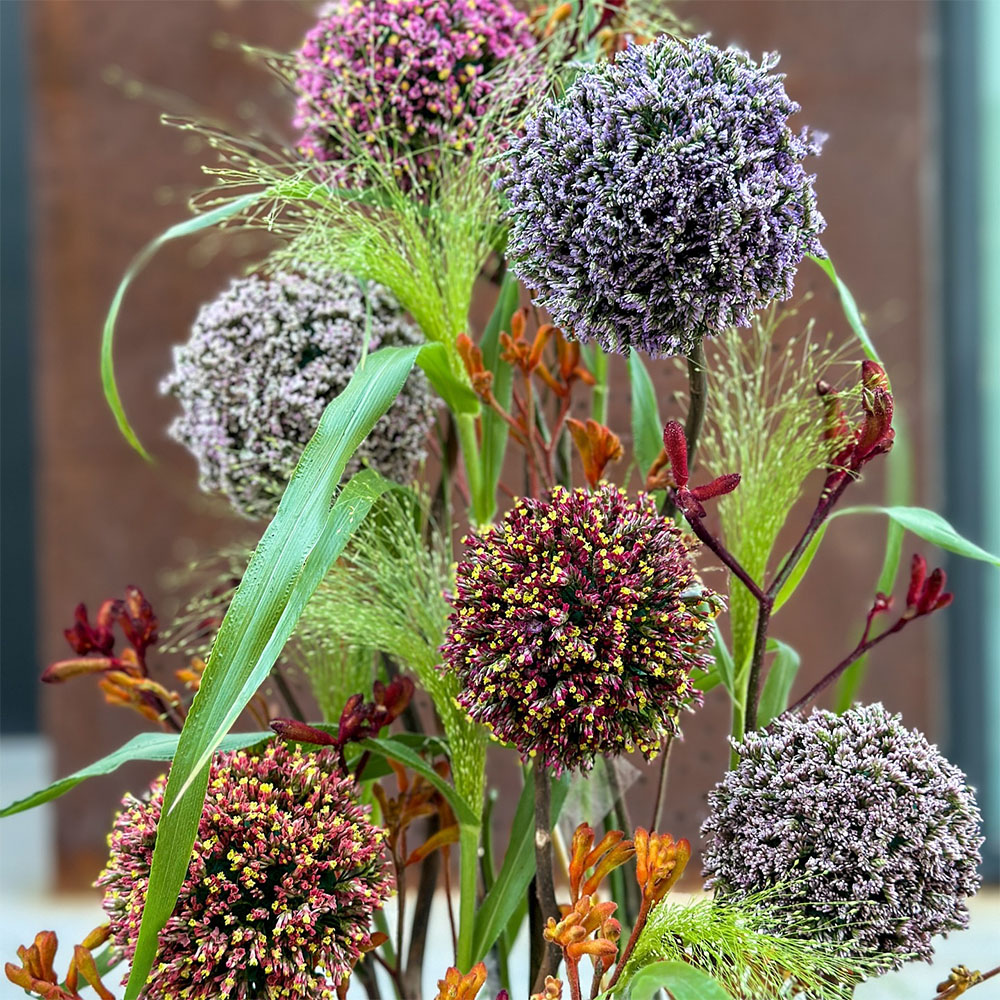 Limoniums bouquet shaped like an Allium Limoniums bouquet shaped like an Allium