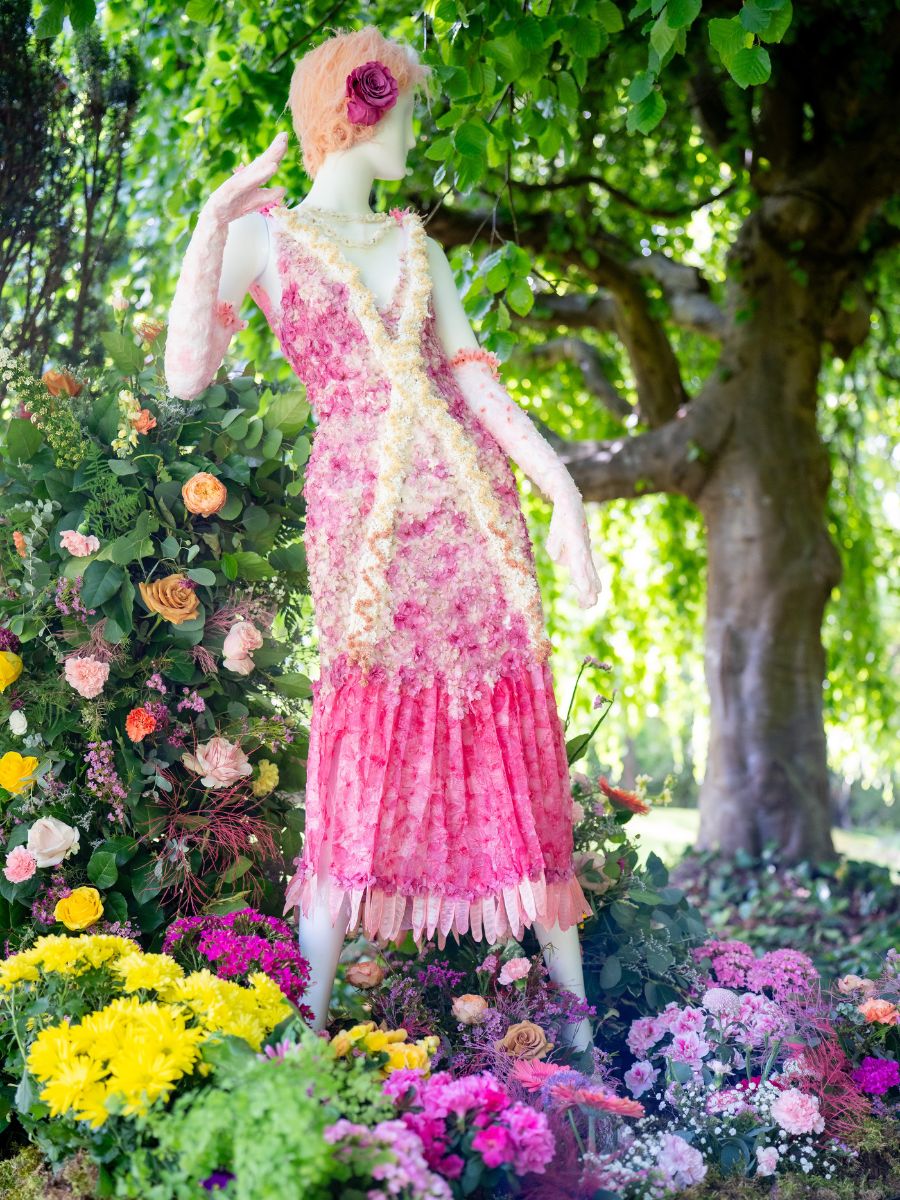 Lady Rose MacClare by Manites Flower Shop Lady Rose MacClare by Manites Flower Shop