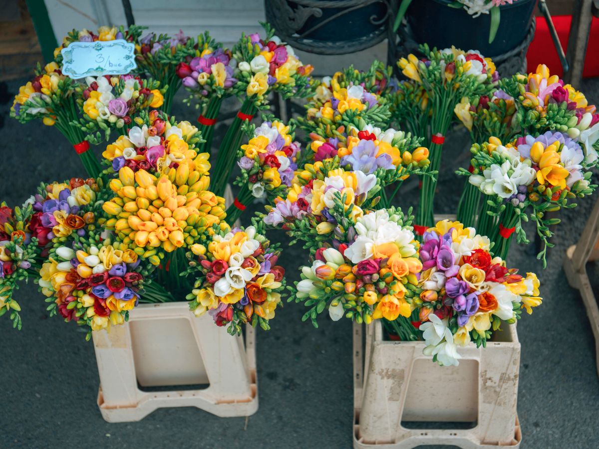 Flowers placed outside a flower shop Flowers placed outside a flower shop