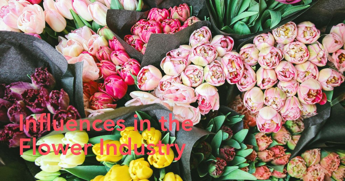 Influences in the flower industry