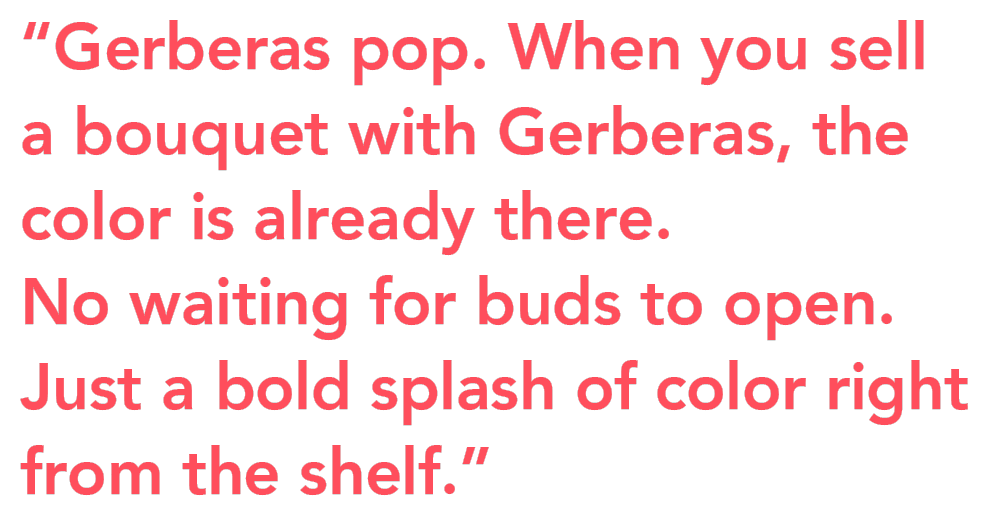 Oudijk Gerbera interview quote Dirk-Jan Oudijk