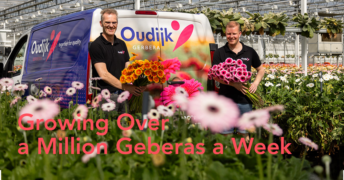 Dirk-Jan and Laurens Oudijk