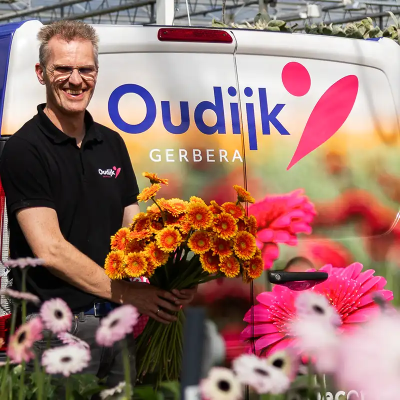 Oudijk Gerbera interview square feature