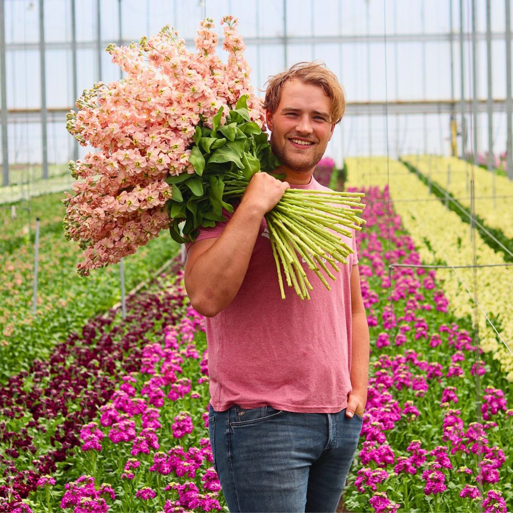 Flower cultivation Sustainable Floriculture and Climate Change: What Is the Role of the Industry in Carbon Capture and Climate Resilience