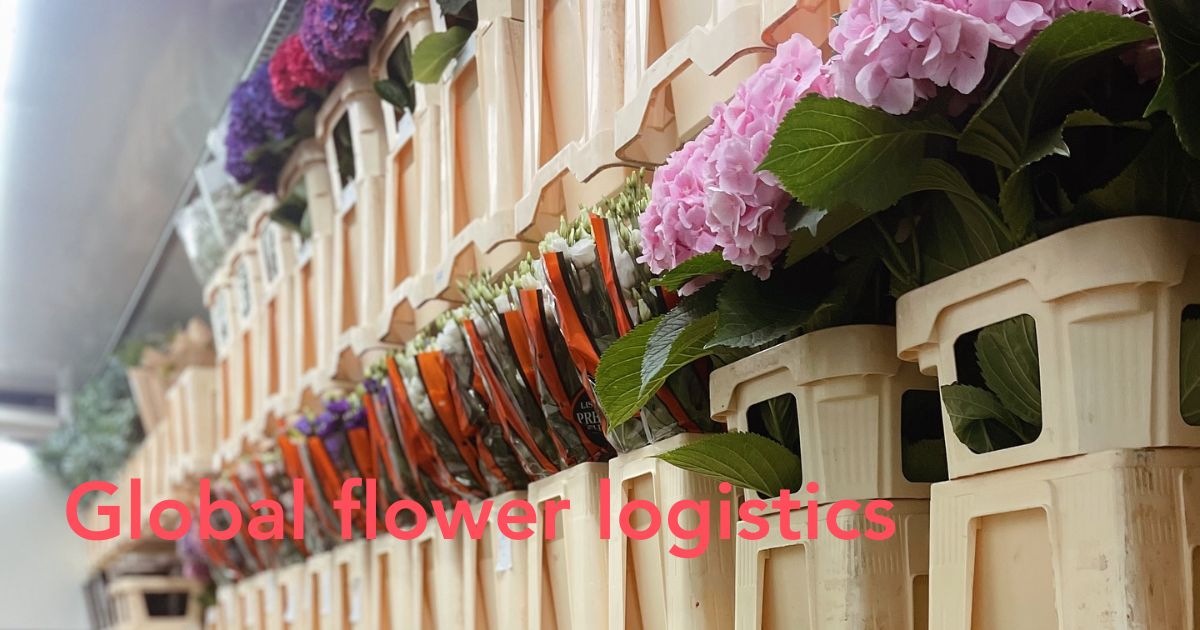 floral freight Header Imag