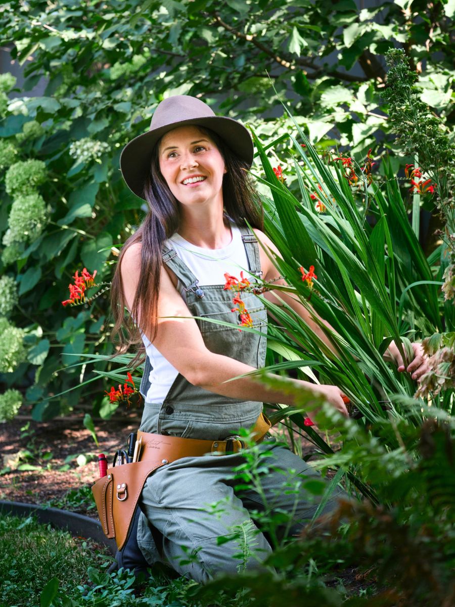 Weeding outdoor plants to make the garden look better Weeding outdoor plants to make the garden look better