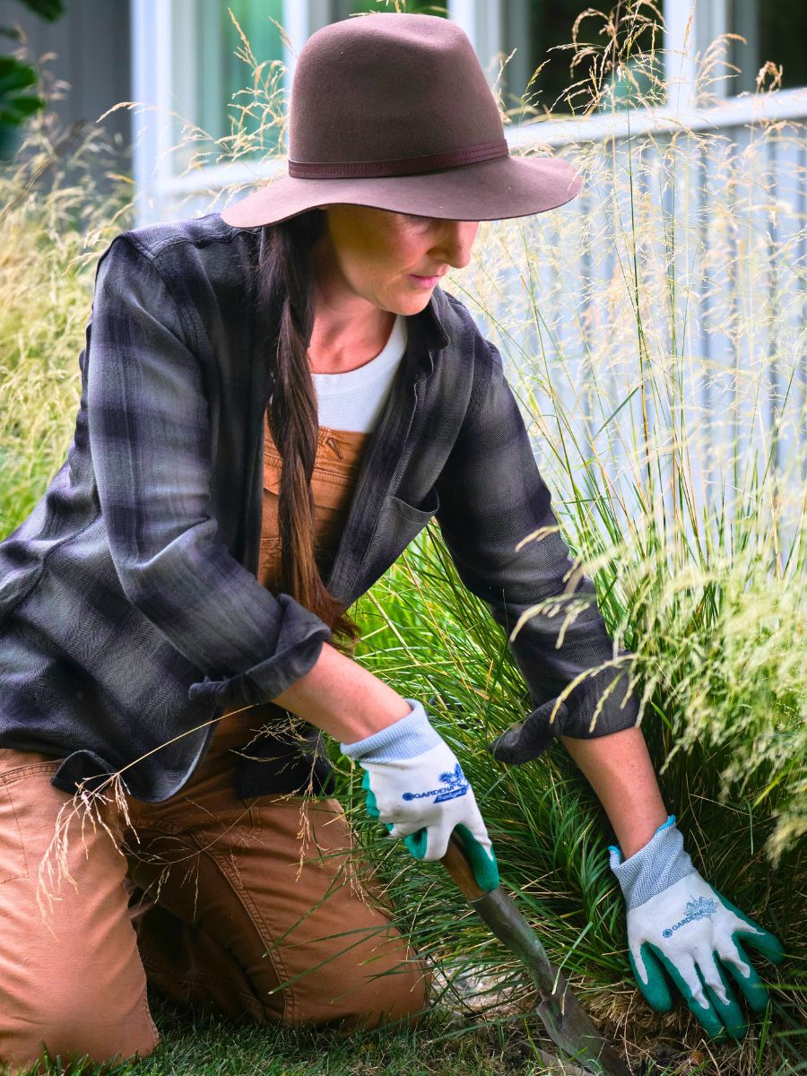 Celebrate National Weed Your Garden Day Celebrate National Weed Your Garden Day
