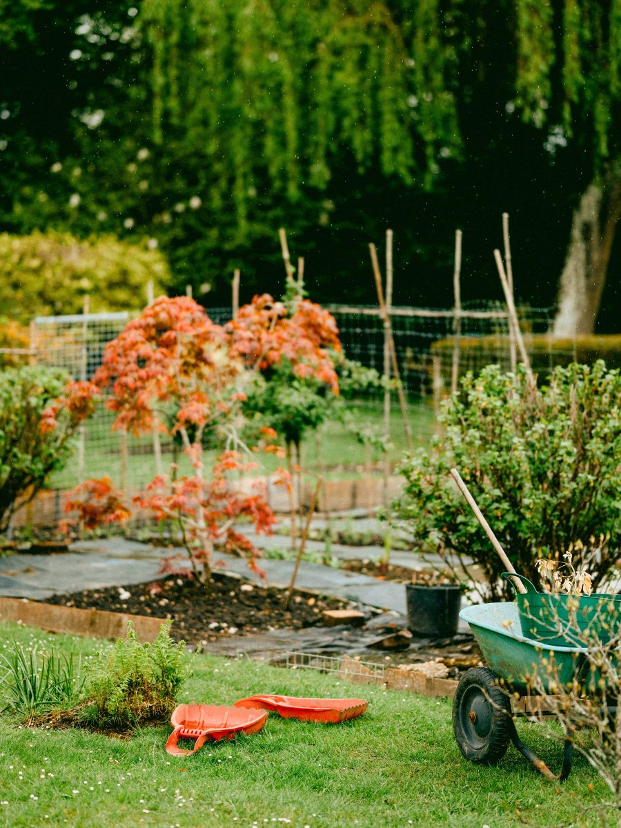 Taking care of your garden