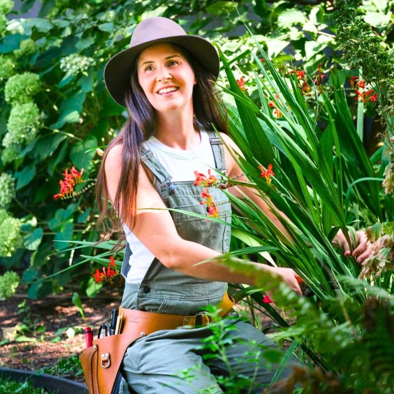 Weeding a garden