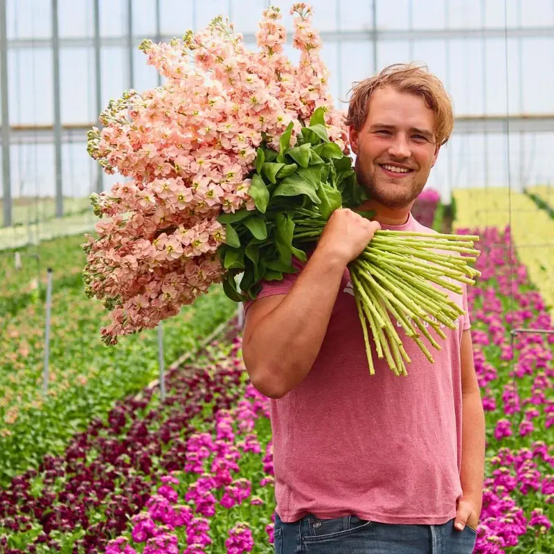Sustainable Floriculture and Climate Change: What Is the Role of the Industry in Carbon Capture and Climate Resilience