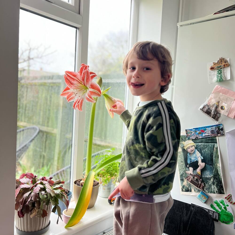 baby with home flowering plant baby with home flowering plant
