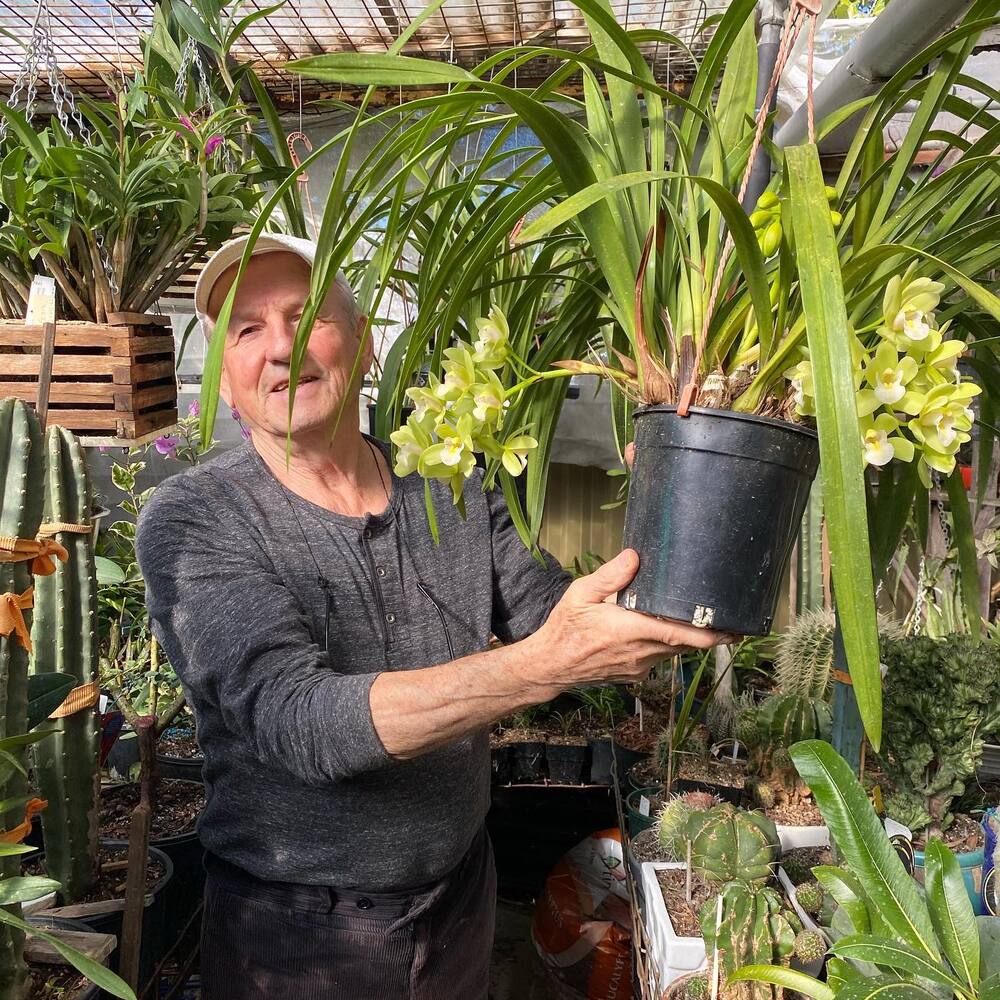 Men hold green plant Men hold green plant