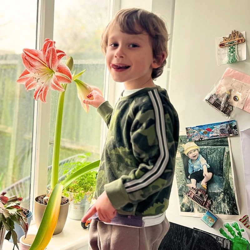 happy plants